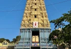 ఆషాడ గురు పౌర్ణమి సందర్భంగా గిరిప్రదక్షిణ వివరాలు