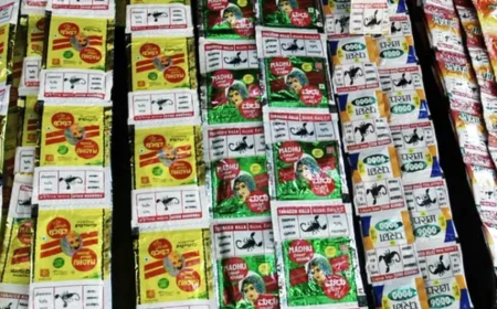 KARNATAKA BANS GUTAKA AND PAN MASALA